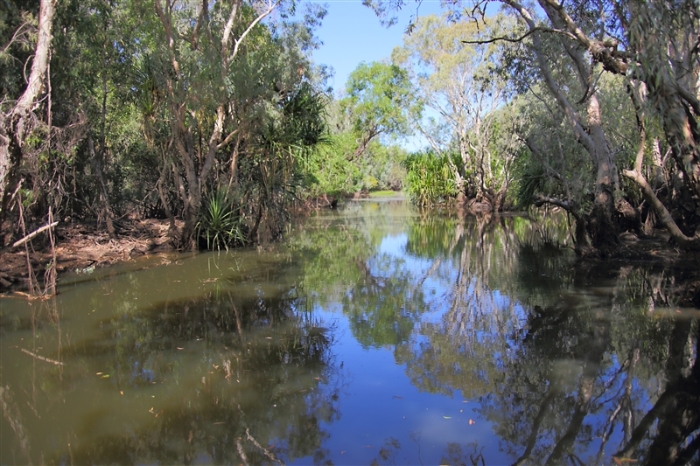 _800Mt Borradaile - Cooper Creek_5636_m